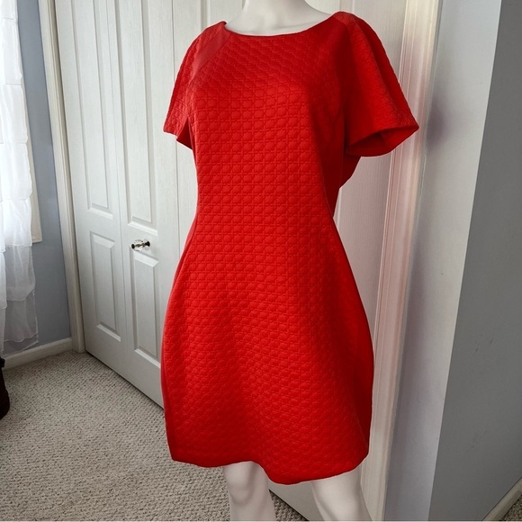 Sharagano Dresses & Skirts - Sharagano orange coral sheath dress. Size 12